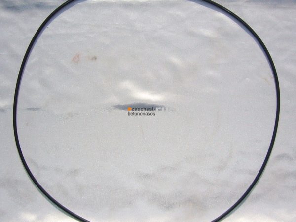 Уплотнение шиберной плиты 200 мм Putzmeister BRF