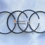 Кольца поршня гидроцилиндра Putzmeister